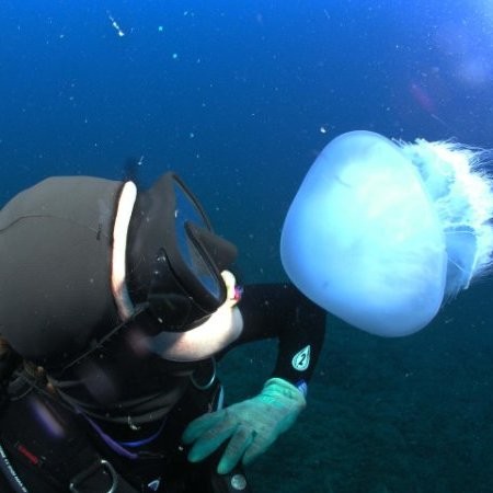 A picture containing swimming, sitting, man, black

Description automatically generated